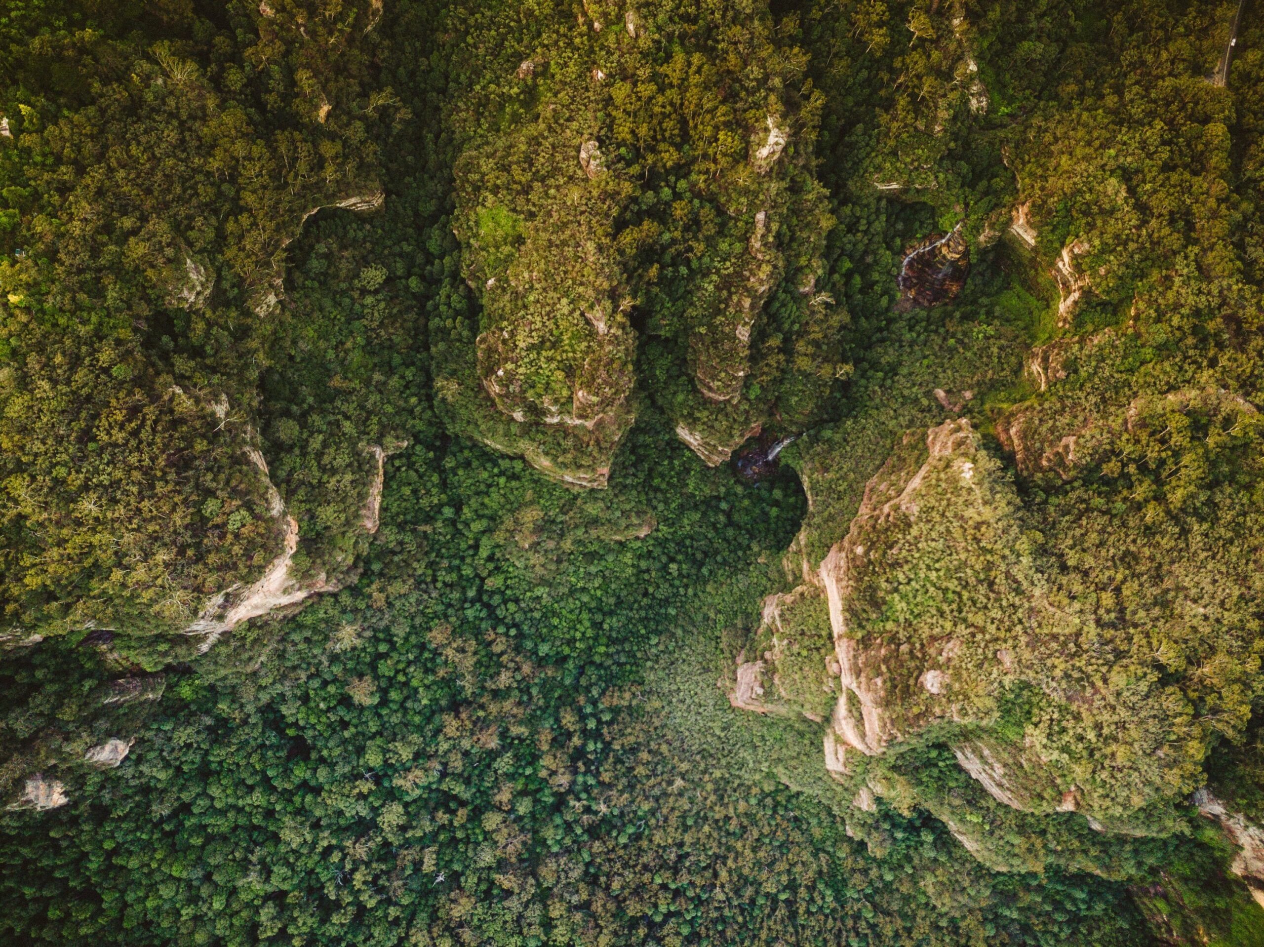 A birds eye view shot of an Australian landscape